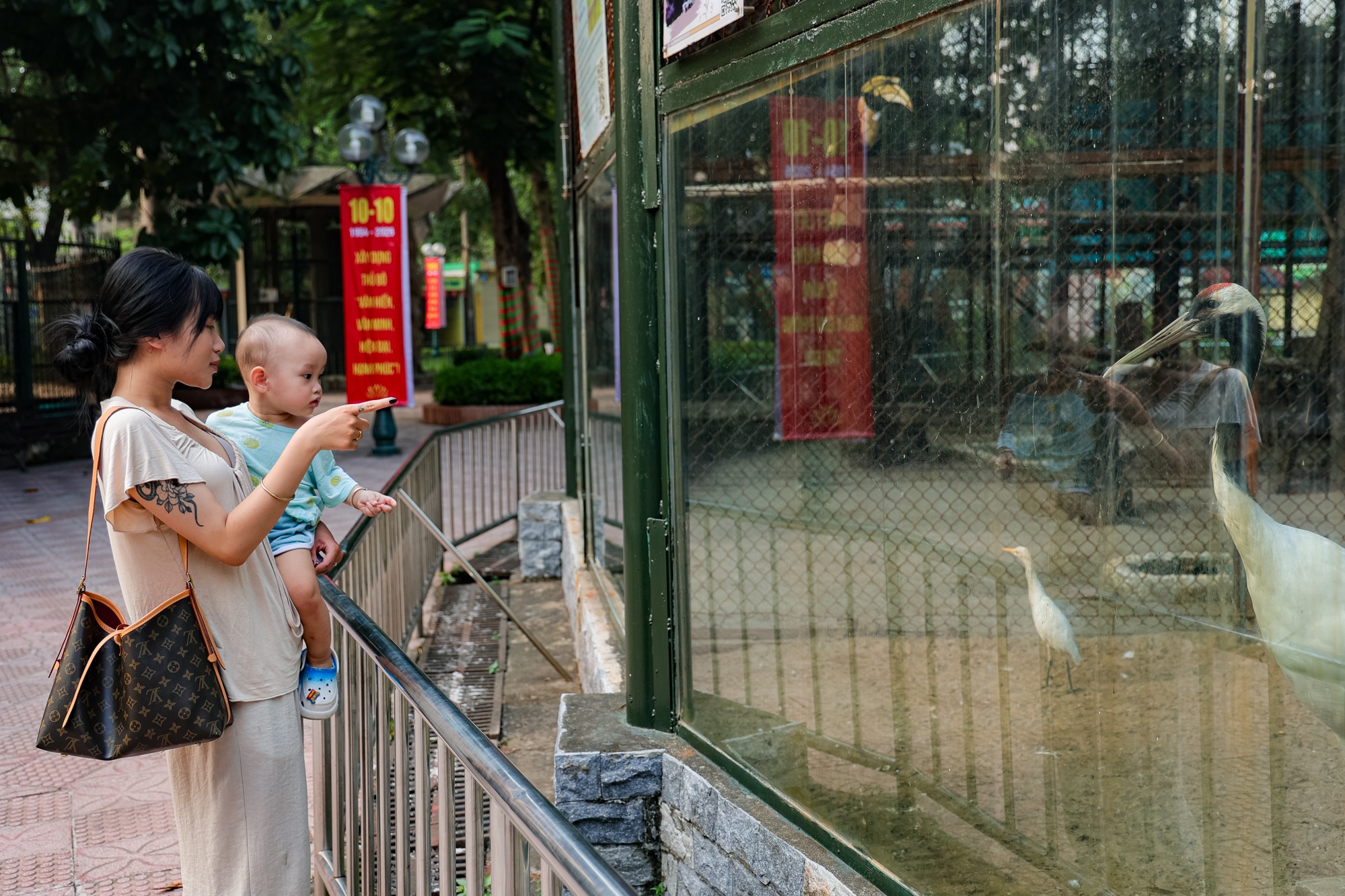 Hanoi’s Thu Le Park shows signs of age ahead of redevelopment - 8