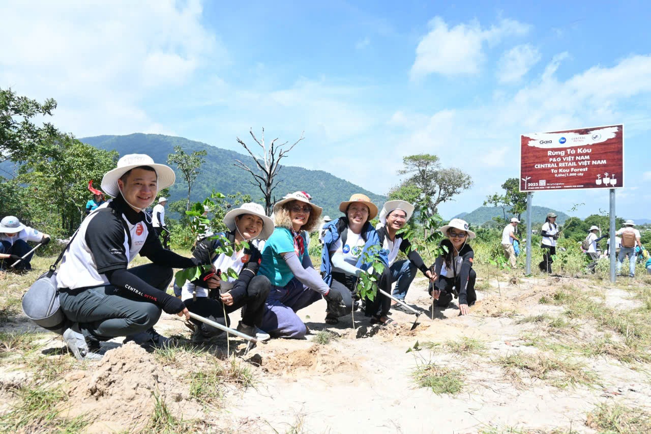Thành lập Khu dự trữ thiên nhiên Tà Kóu, bảo tồn hơn 7.300ha rừng tự nhiên