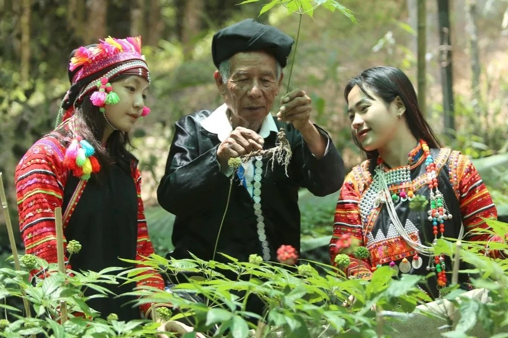 Giữ màu xanh no ấm trên vùng cao Lai Châu