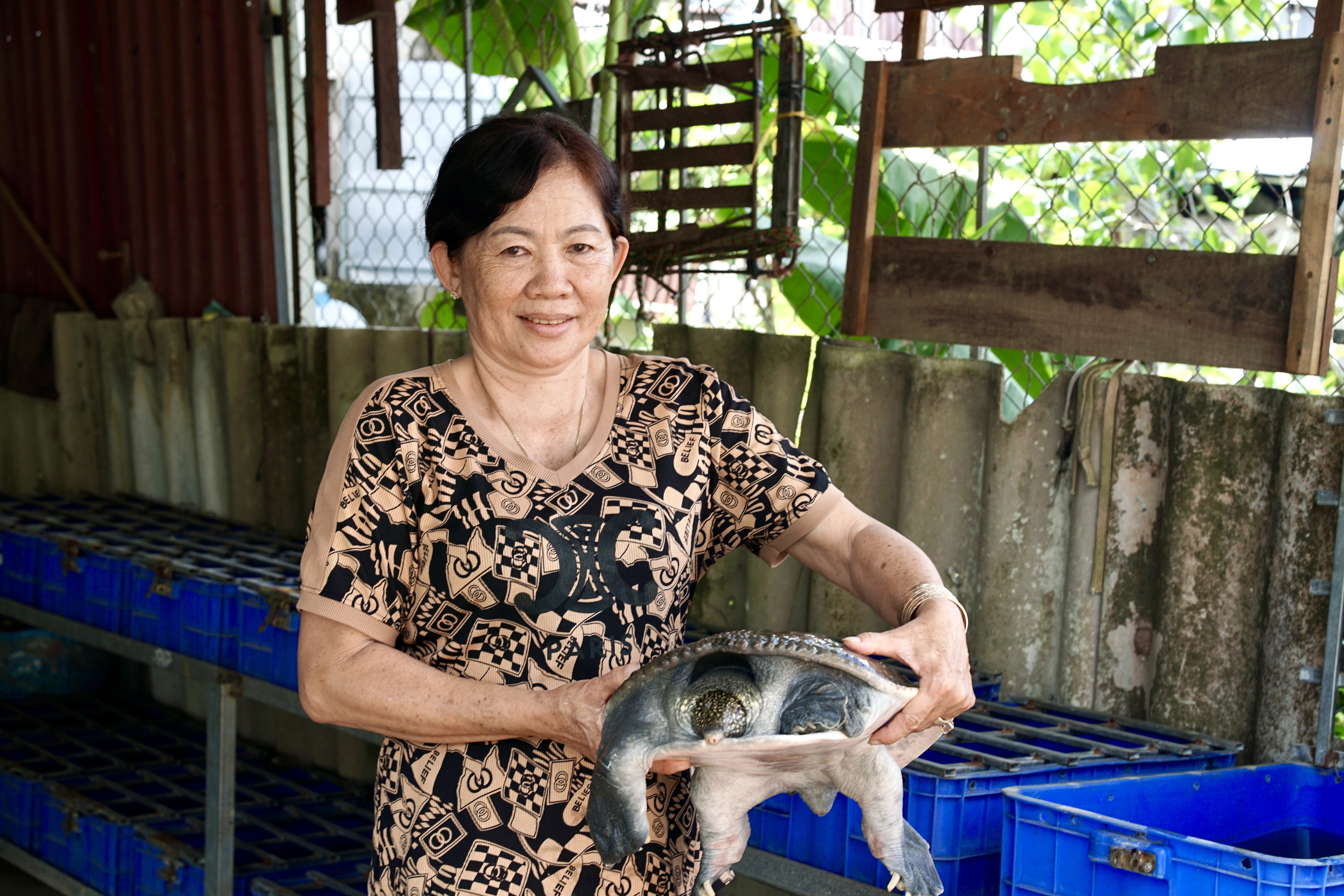 Nông dân Cần Thơ tiết lộ bí quyết nuôi cua đinh doanh thu 5 tỷ đồng/năm