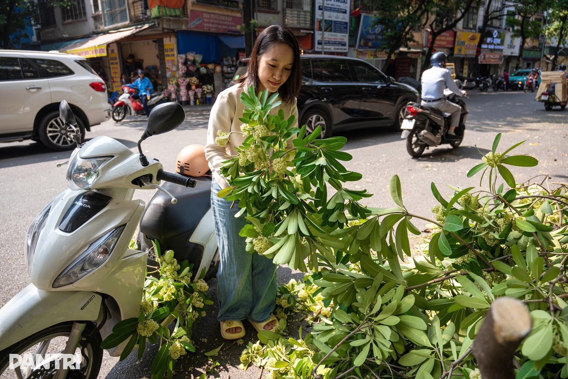 Miền Bắc nắng oi trước khi đón đợt không khí lạnh yếu vào giữa tuần