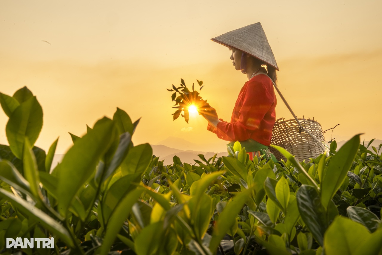 Địa phương rà soát thực trạng, làm kế hoạch xây dựng nông thôn mới
