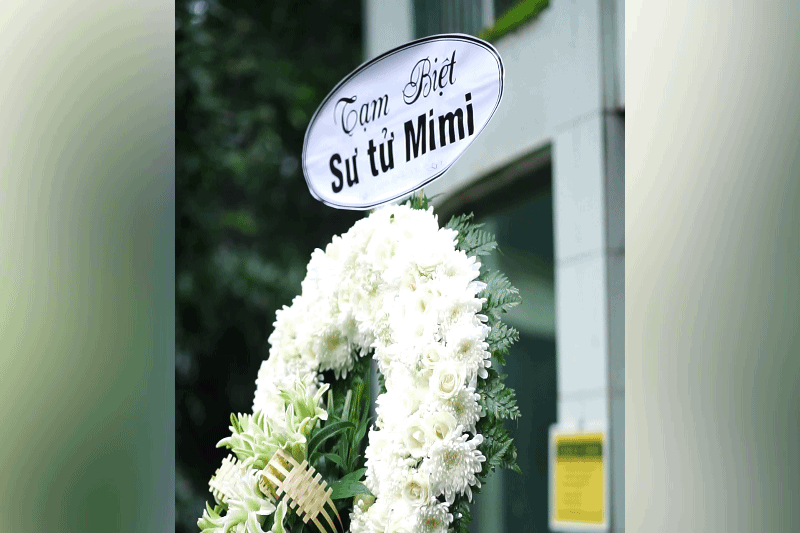 Lời tạm biệt dành cho sư tử trắng cuối cùng ở Thảo Cầm Viên