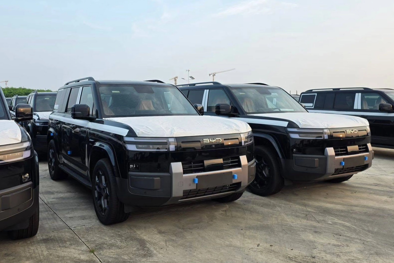 BYD Ti7 sẽ ra mắt khách Việt vào cuối năm nay, cạnh tranh Palisade Hybrid