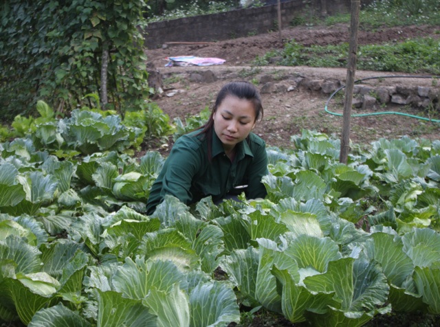Bộ đội mất ăn mất ngủ đưa... ếch lên núi - 4 Nhiều mô hình phát triển kinh tế được cán bộ Đoàn kinh tế quốc phòng 4 chuyển giao cho đồng bào và đạt được kết quả khả quan.
