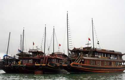 500 tàu du lịch Vịnh Hạ Long hoạt động trở lại - 1