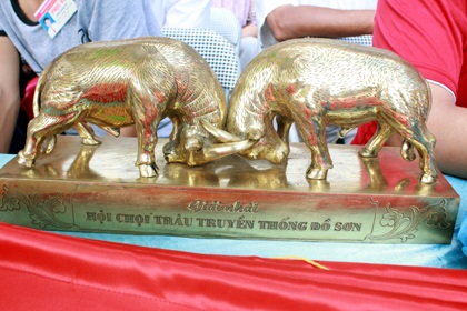 "Nóng hầm hập" vòng chung kết lễ hội chọi trâu Đồ Sơn - 11