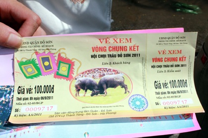 "Nóng hầm hập" vòng chung kết lễ hội chọi trâu Đồ Sơn - 13