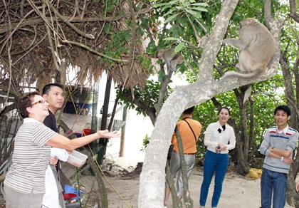 Háo hức ra đảo nhậu cùng... đàn khỉ