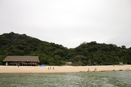 Háo hức ra đảo nhậu cùng... đàn khỉ