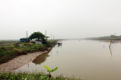 Hải Phòng công bố kết luận tổng thể vụ cưỡng chế đầm tôm  
