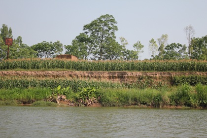 Cấm cửa mua bán, vận chuyển cát lậu