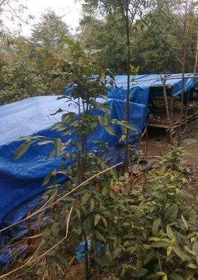 Ra quân “dẹp loạn” tại mỏ than đẹp nhất Quảng Ninh - 2 Ra quân “dẹp loạn” tại mỏ than đẹp nhất Quảng Ninh - 2