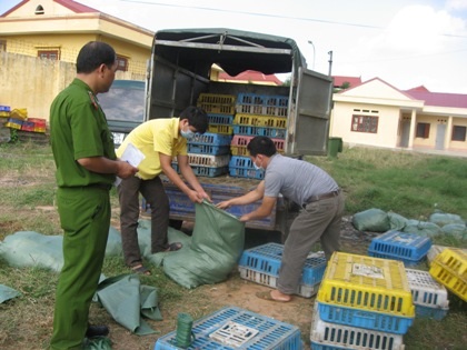 Cơ quan chức năng liên tiếp bắt thực phẩm bẩn tuồn vào nội địa.