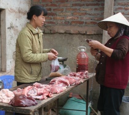 Làm rõ tình trạng có chất kích nạc trong thịt lợn - 1 Làm rõ tình trạng có chất kích nạc trong thịt lợn