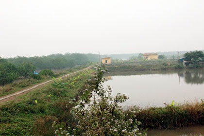 “Thu hồi đất của ông Vươn, không bồi thường là…trái luật” - 2