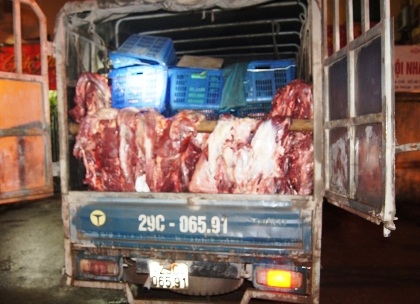 Xe tải thịt bò lậu bị bắt giữ.