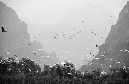 Vẻ đẹp “lạnh người” của những khoảnh khắc sáng tối - 4 Đất lành