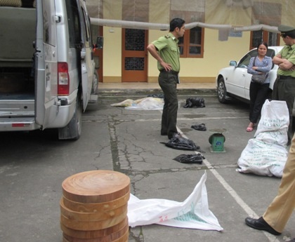 Tang vật vụ mang cầy hương, thớt nghiến từ phố lên rừng tiêu thị bị bắt giữ.