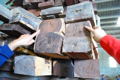 Lô hàng gỗ tạm nhập tái xuất có giá trị nhiều triệu đô đang đươc phanh phui làm rõ.