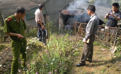 Nhiều đối tượng vẫn lén lút trồng thuốc phiện tại các vùng hẻo lánh.