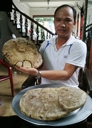 Phát hiện nấm lạ trên cây đa cổ thụ, nghi là nấm linh chi - 1 Anh Trần Văn Thọ bên 2 cây nấm khổng lồ được anh cho là nấm linh chi.