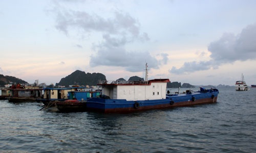 Lãnh đạo Quảng Ninh vi hành, giám sát việc phòng chống bão - 2 Hiện nay trên địa bàn Quảng Ninh đã có hơn 10 nghìn tàu thuyền vào trú bão an toàn