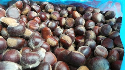 Hạt dẻ Trùng Khánh vừa trở thành sản phẩm thứ 23 trong cả nước được xác lập và bảo hộ chỉ dẫn địa.