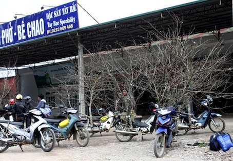 Nụ hoa dào rừng trông rất đẹp