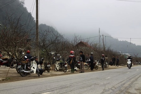 Chợ đào rừng ngay 2 bên đường Quốc lộ tại Mộc Châu - Sơn La