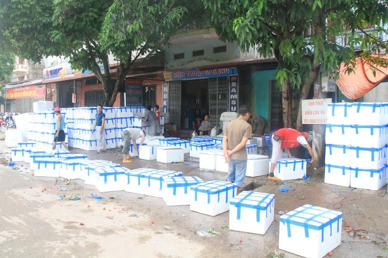 Vải thiều Trung Quốc thâm nhập vùng biên Lạng Sơn? - 1 Vải thiều Trung Quốc thâm nhập vùng biên Lạng Sơn?