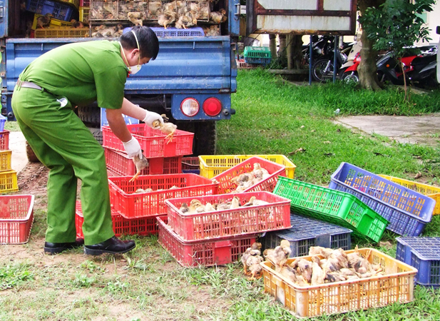 Tang vật được cơ quan chức năng thu giữ