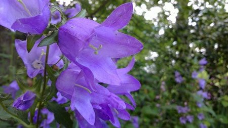 Nokia N9 nổi bật với âm thanh vòm Dolby - 2