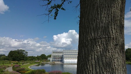 Nokia N9 nổi bật với âm thanh vòm Dolby - 3