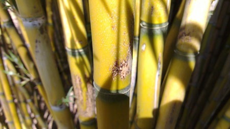 Nokia N9 nổi bật với âm thanh vòm Dolby - 4