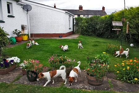 Những bức ảnh “nhân bản” ấn tượng - 12