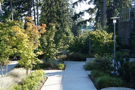 Thăm “đại bản doanh” như khu nghỉ dưỡng của Microsoft - 11