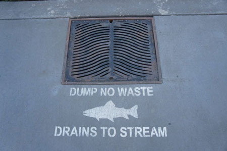 Thăm “đại bản doanh” như khu nghỉ dưỡng của Microsoft - 24