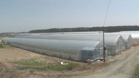 Đường phố Nhật trước và sau thảm họa qua Google Street View - 5