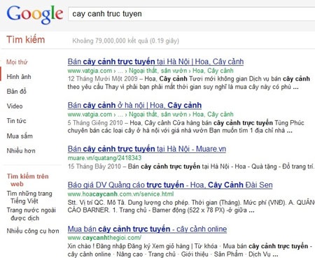 Online sắm cây chơi Tết - 3 Online sắm cây chơi Tết - 3