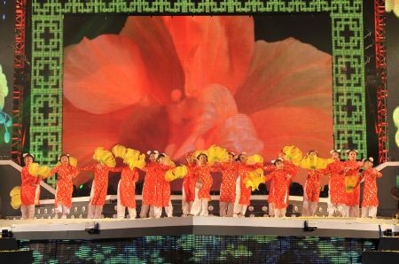 Ấn tượng lễ hội "Việt Nam ngày mới" - 3