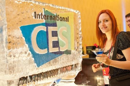 Chân dài khoe sắc tại CES 2012 - 12