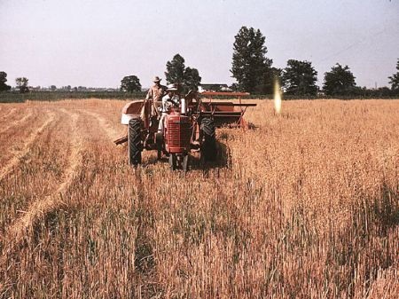 Những bức ảnh màu hiếm hoi cách đây 80 năm