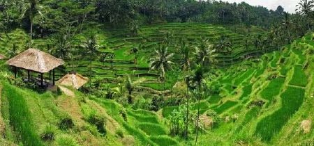 Tuyển tập những bức ảnh Panorama xuất sắc