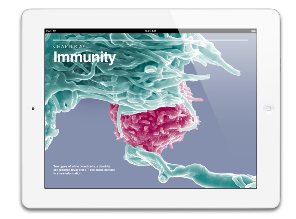 Ảnh thực tế iPad 4: