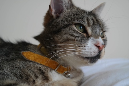 Xem Samsung NX300 “thi đấu” với Canon EOS M - 3 Ảnh chụp từ NX300 (CNet)