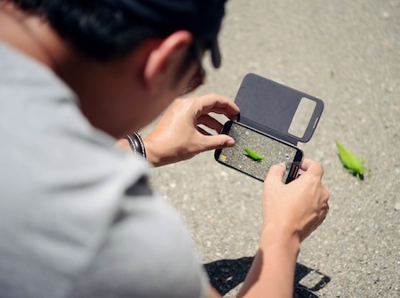 MC Anh Tuấn: D’Ran “Tự…” truyện (Kỳ 2) - 1 Hình một người bạn “chộp” khi tôi đang say sưa chụp “chiếc
lá”