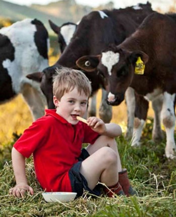 Sữa tươi nguyên chất là nguồn dinh dưỡng quan trọng cho trẻ