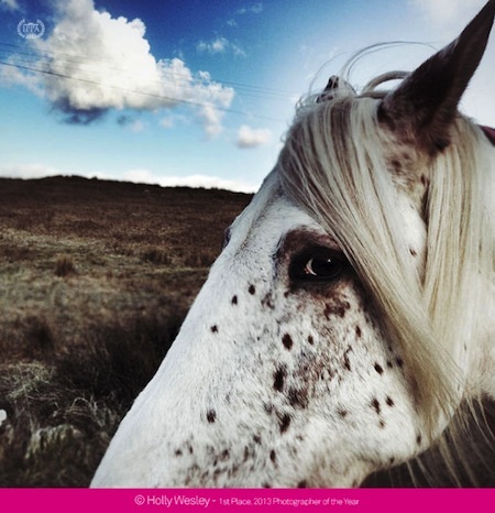 Bức ảnh đoạt giải nhất cuộc thi iPhone Photography Awards của tác giả 