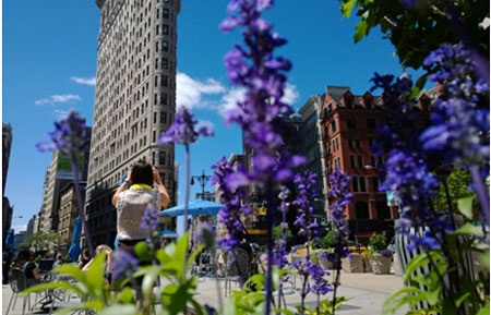 Bức ảnh lấy chủ thể chính là tòa nhà siêu mỏng tại thành phố New York.